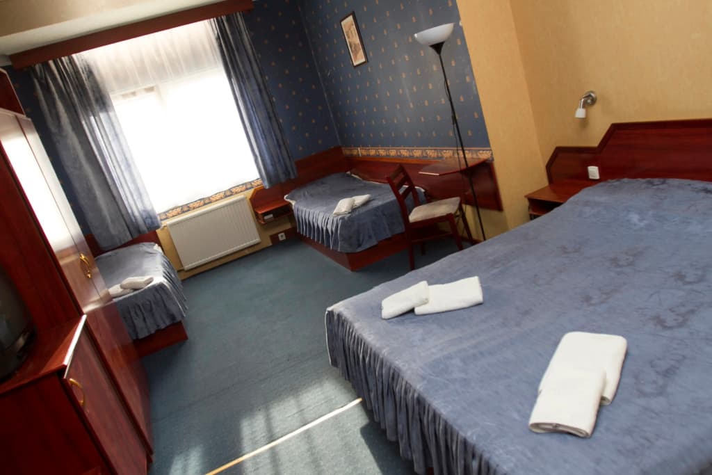 Classic Hotel - photo 16
