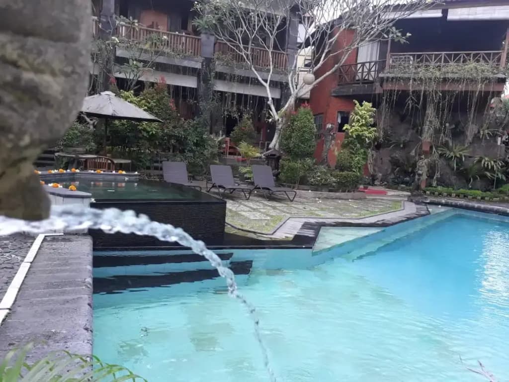 Okawati Hotel - photo 24