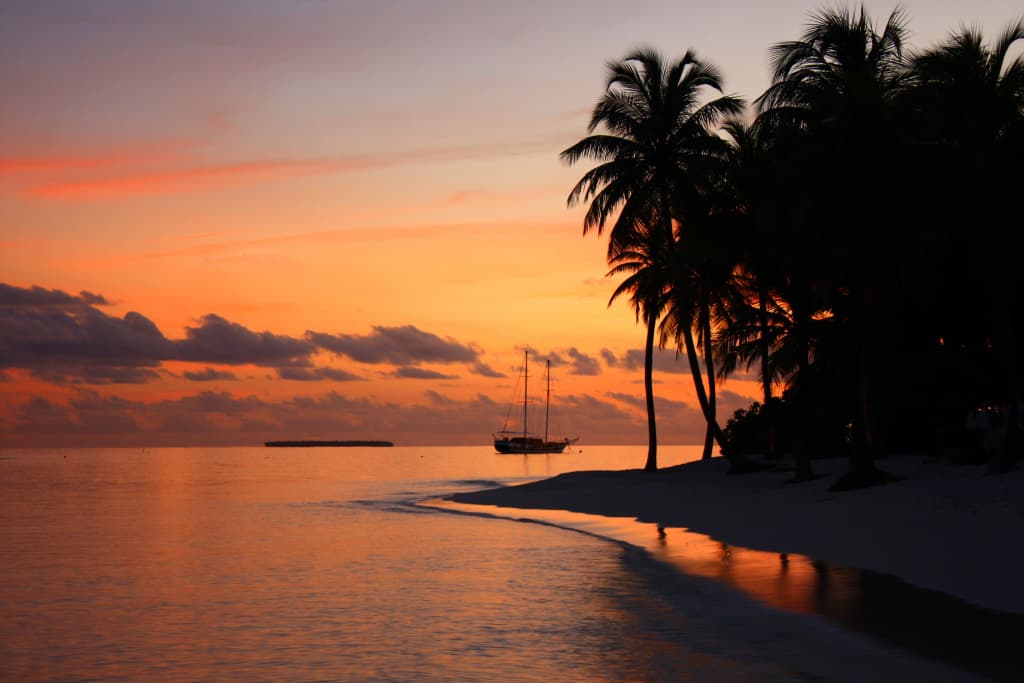 V Villas Maldives at Mirihi - MGallery Collection Resort Hotel - photo 22