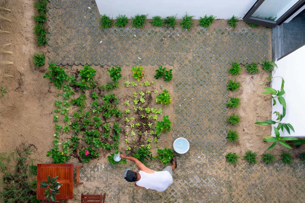Plants Garden Villa - photo 20
