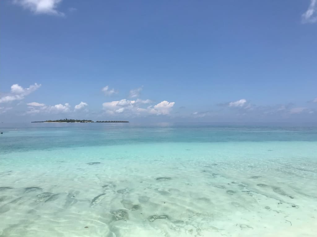 Kamadhoo Inn Guest House - photo 32