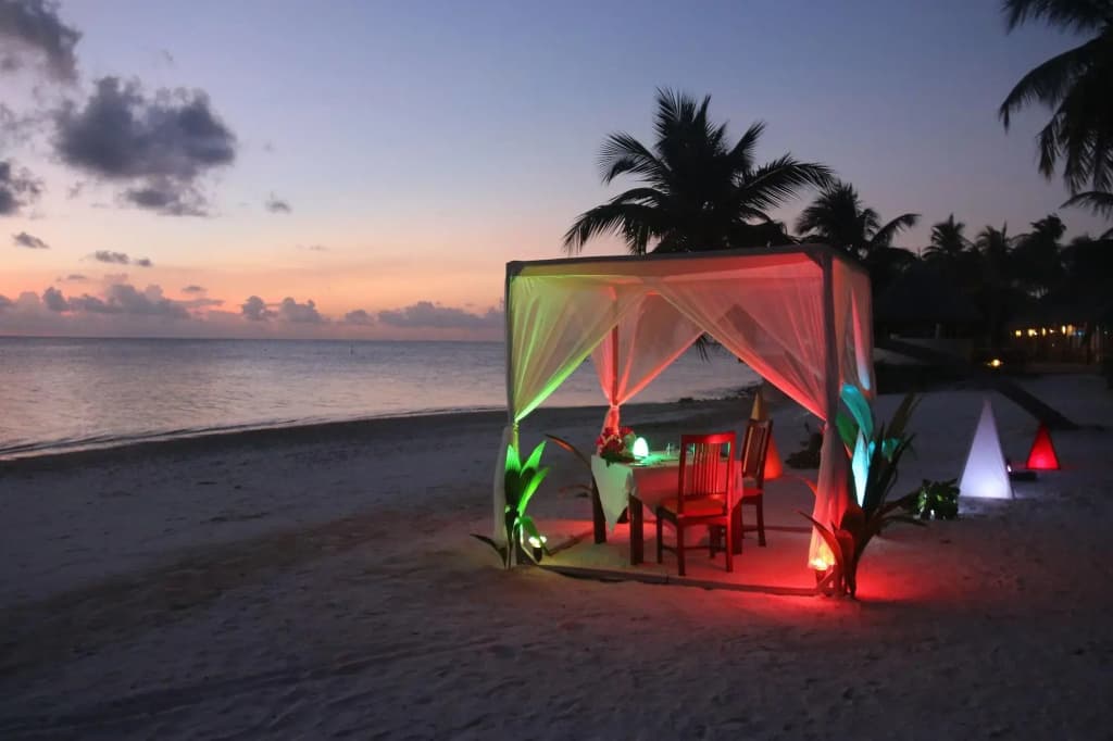 Canareef Resort Maldives - photo 4