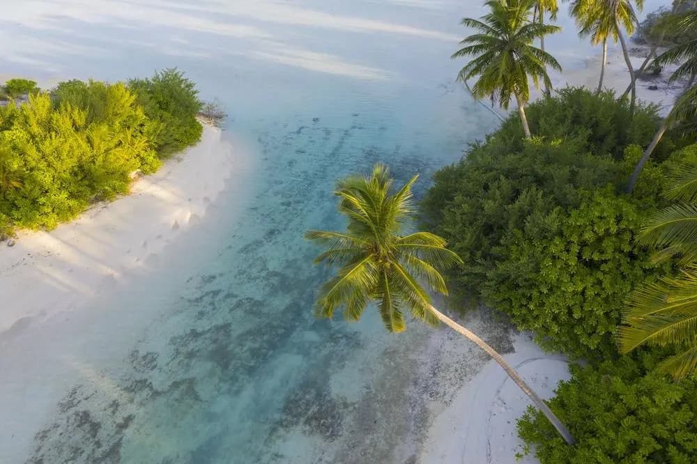 Rahaa Resort - photo 4