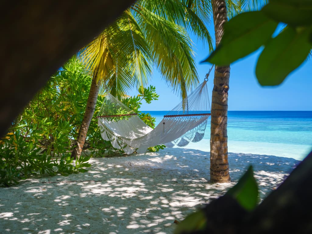 V Villas Maldives at Mirihi - MGallery Collection Resort Hotel - photo 27