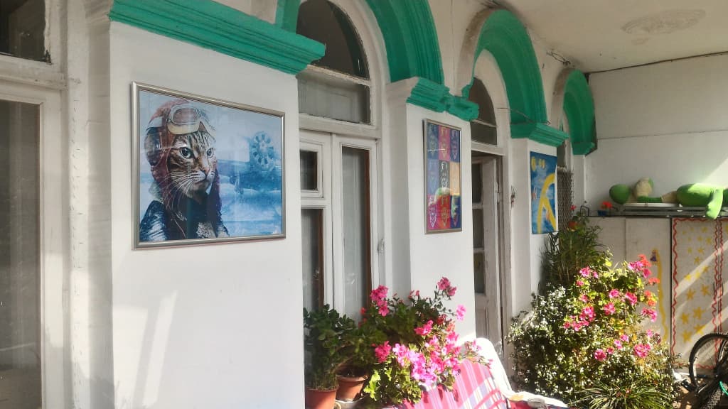Green Stairs Guest house - main photo