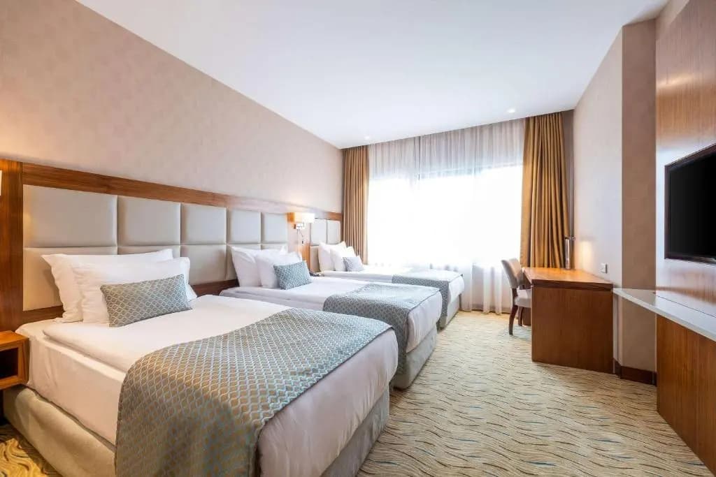 Clarion Istanbul Mahmutbey Hotel - photo 10