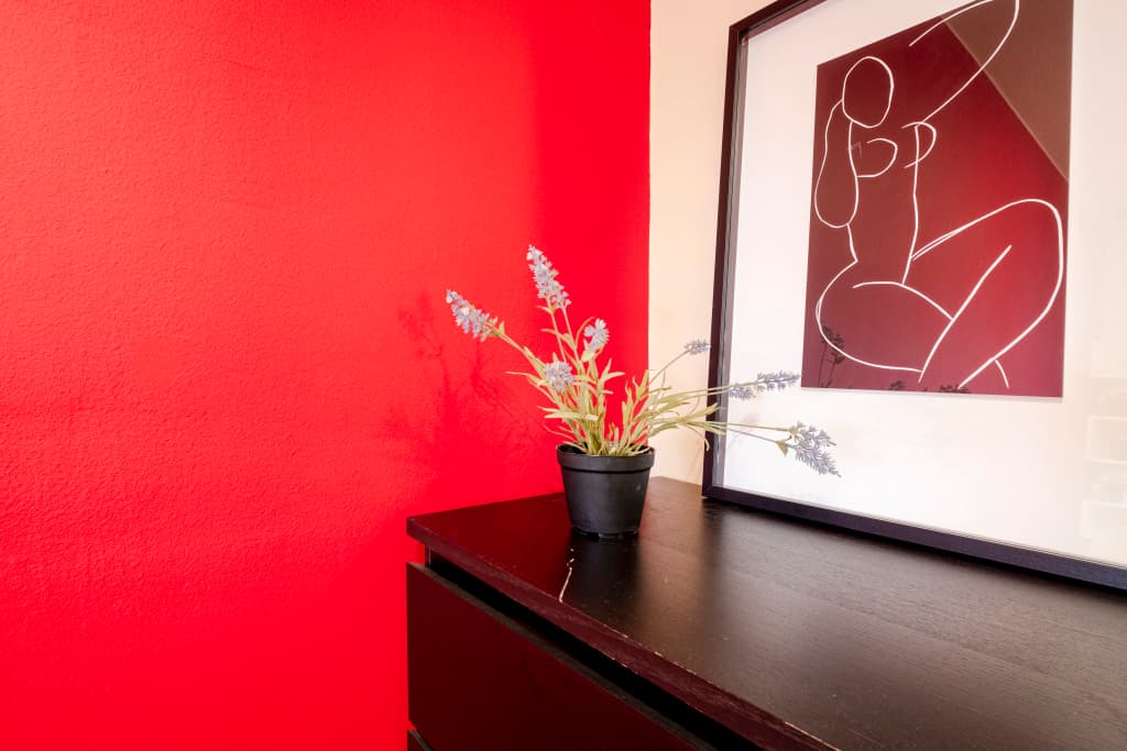 Casucci Apartments - photo 23
