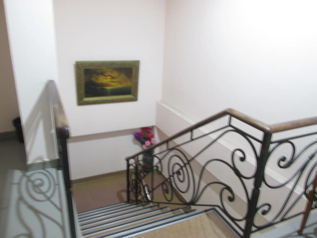 Old Isani Hotel - photo 22