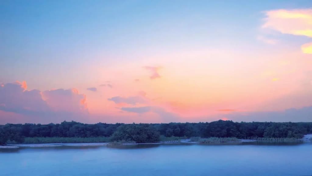 Anantara Eastern Mangroves Abu Dhabi - photo 31