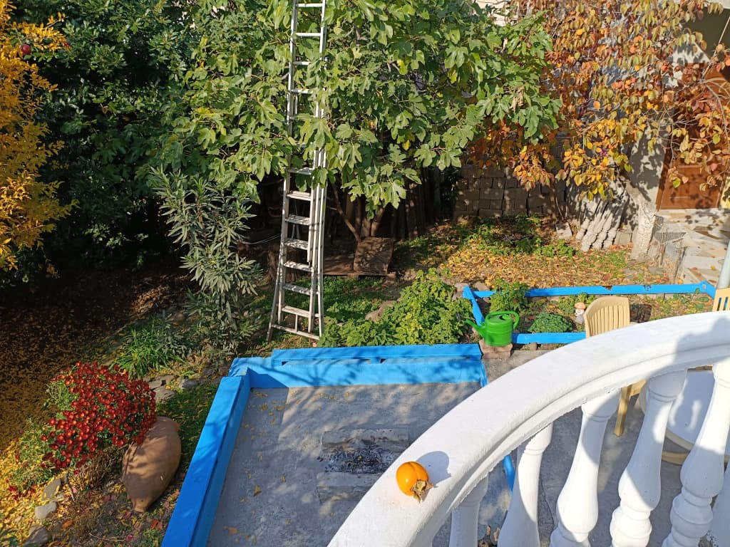 Eco-friendly Why Me Tbilisi Guest House - photo 4