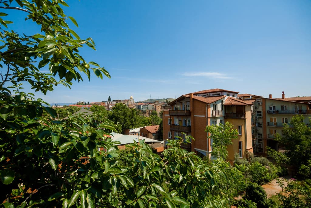 Gvino Minda Hotel - photo 28