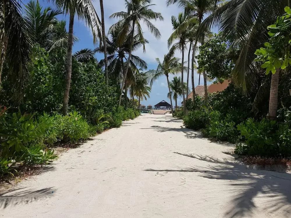 Cinnamon Velifushi Maldives Hotel - photo 12