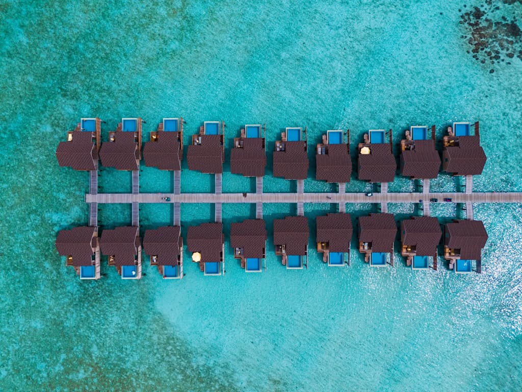 Dhigufaru Island Resort - photo 2