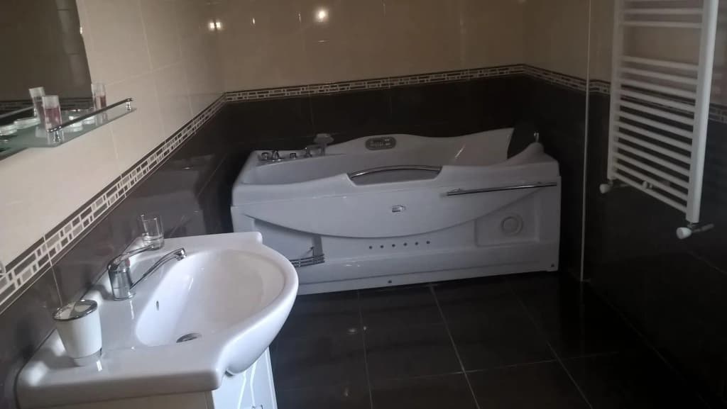 Hotel Isaka - photo 20