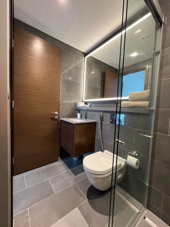 Deluxe  Apartment - photo 9