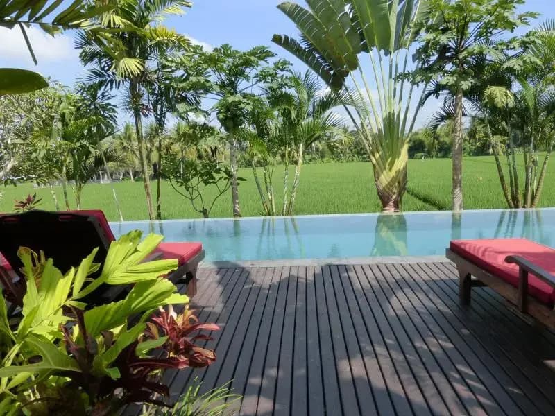 Bali Harmony Villa - photo 3