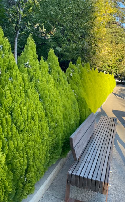 Gardens Apartments - photo 8