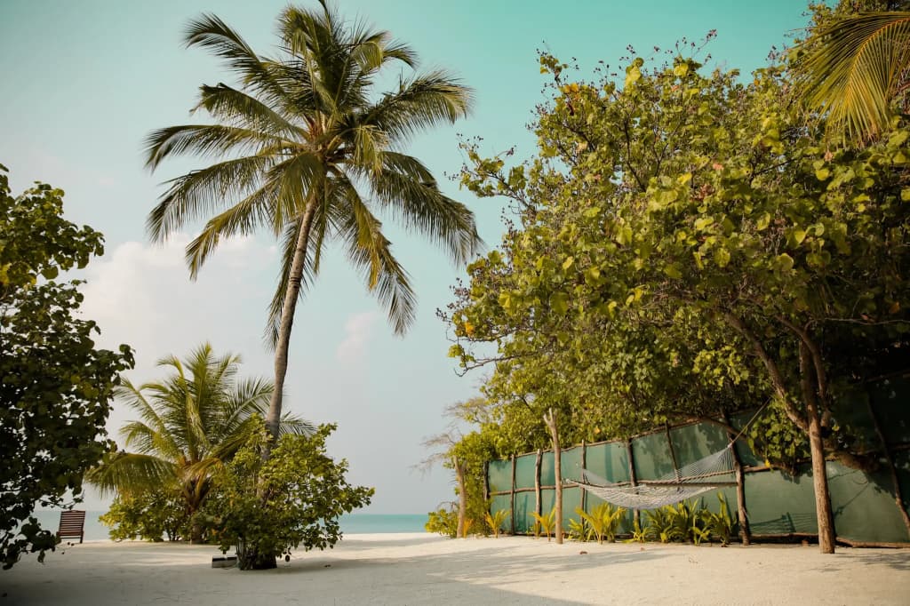 My House Maldives Guest House - photo 2