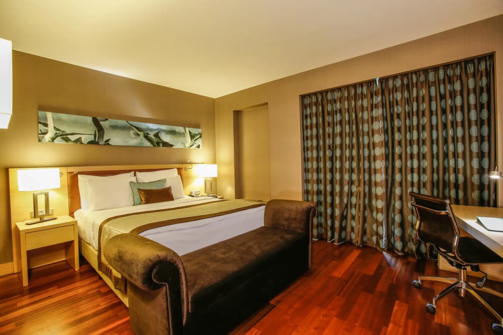 Park Dedeman Bostanci Hotel - photo 6