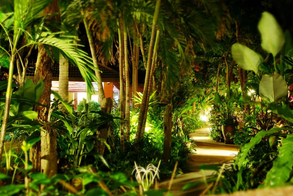 Polina Park Villa - photo 11