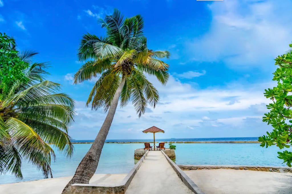 Ellaidhoo Maldives By Cinnamon Hotel - photo 17