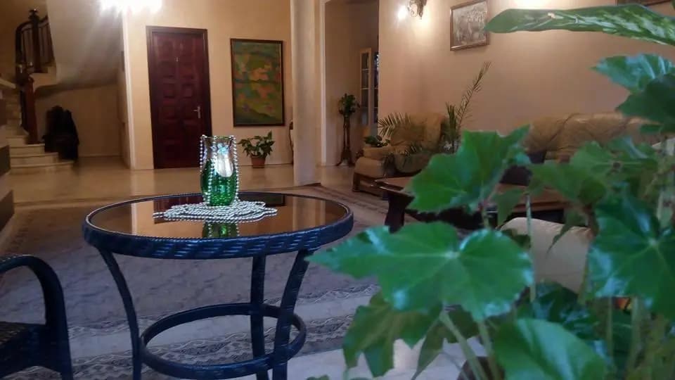 Nitsa Hotel - photo 6