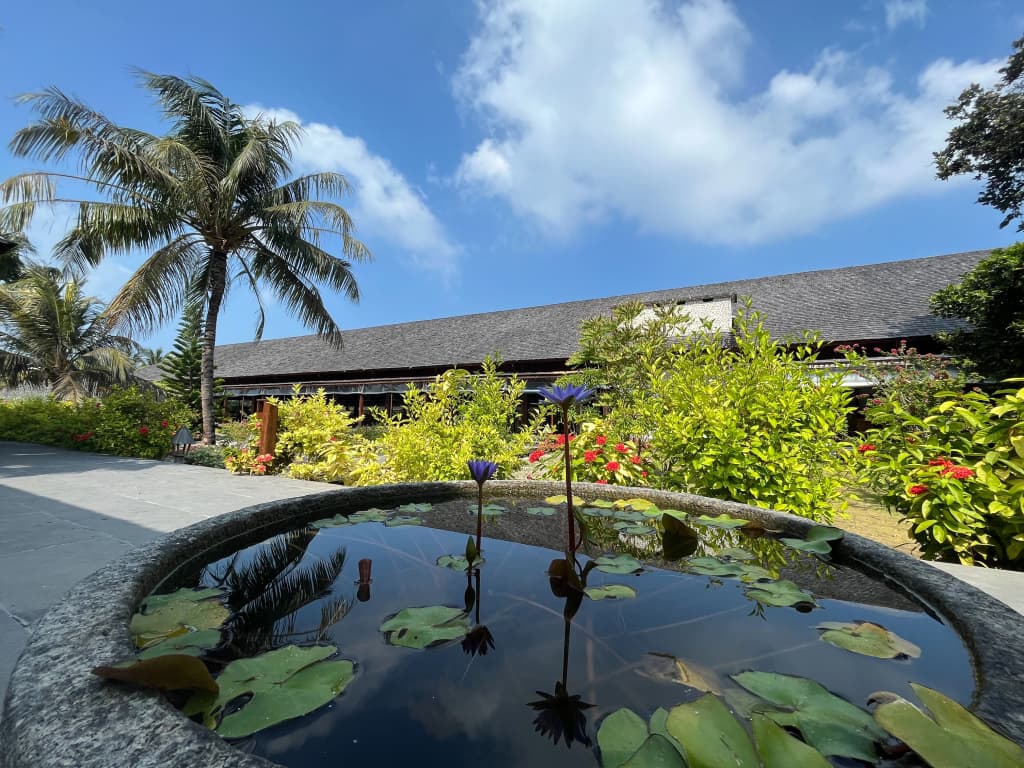 The Barefoot Eco Hotel - photo 25