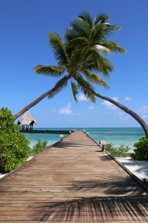 Canareef Resort Maldives - photo 9