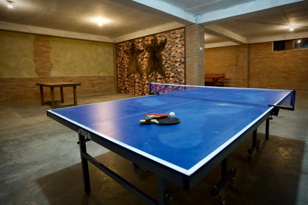 Mogzauri Hotel - photo 29