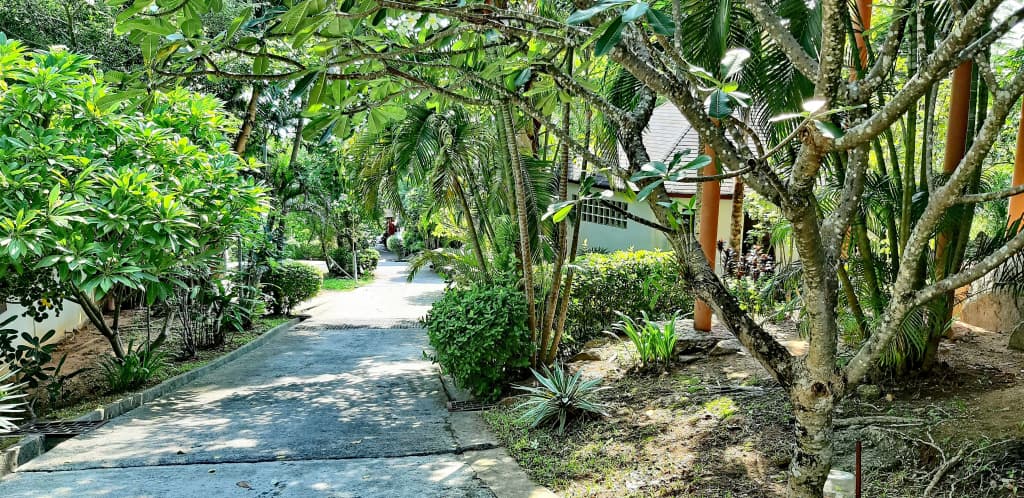 Chaweng Bayview Resort Hotel - photo 39