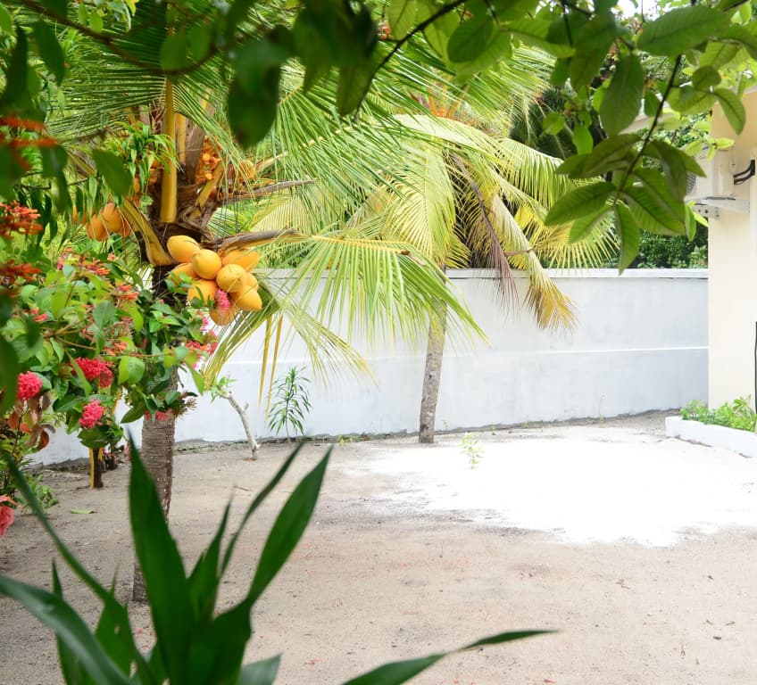 Maclura Residence Guest House - photo 8