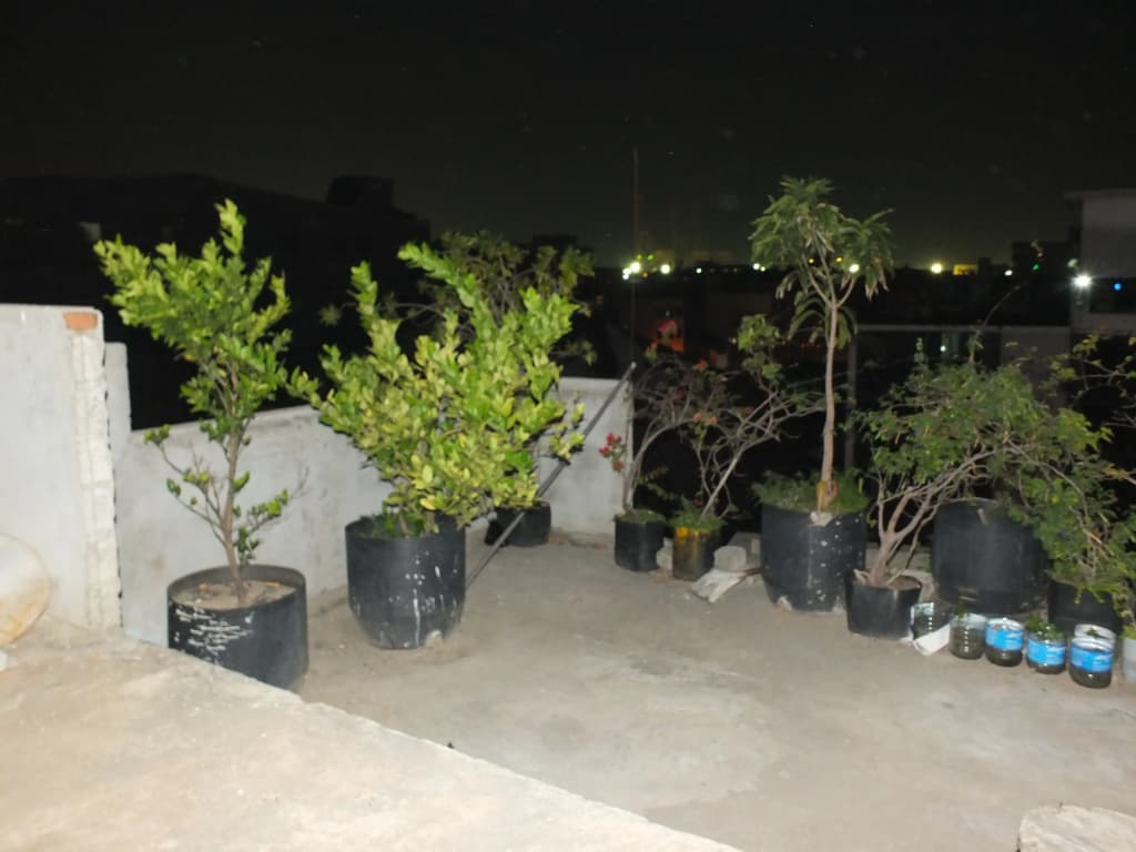 City Hotel - photo 4