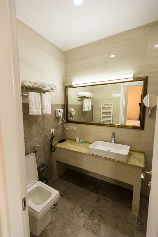 Alliance Hotel - photo 17