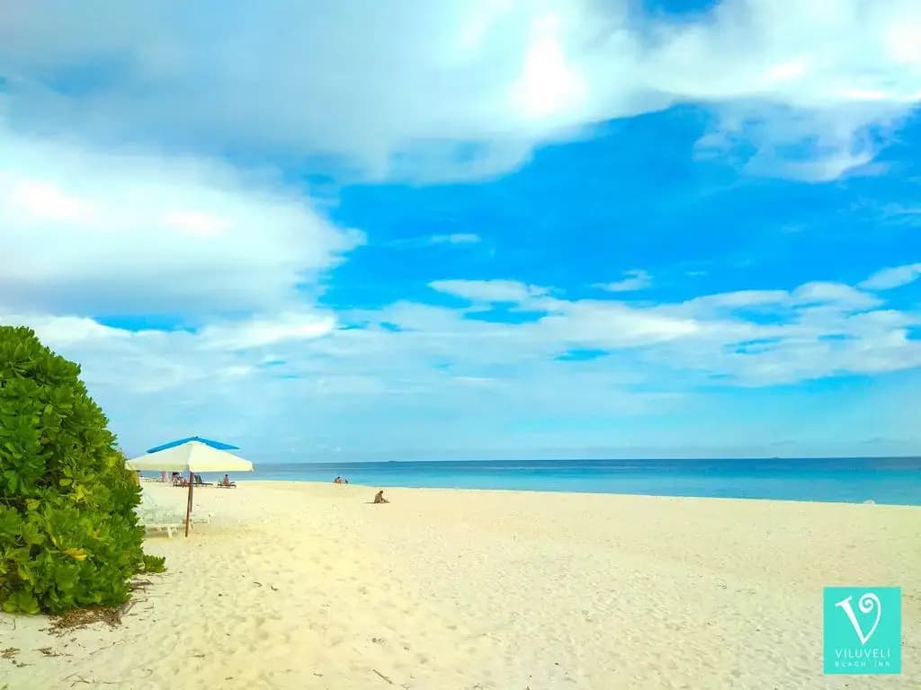 Viluveli Beach Maldives Hotel - photo 31