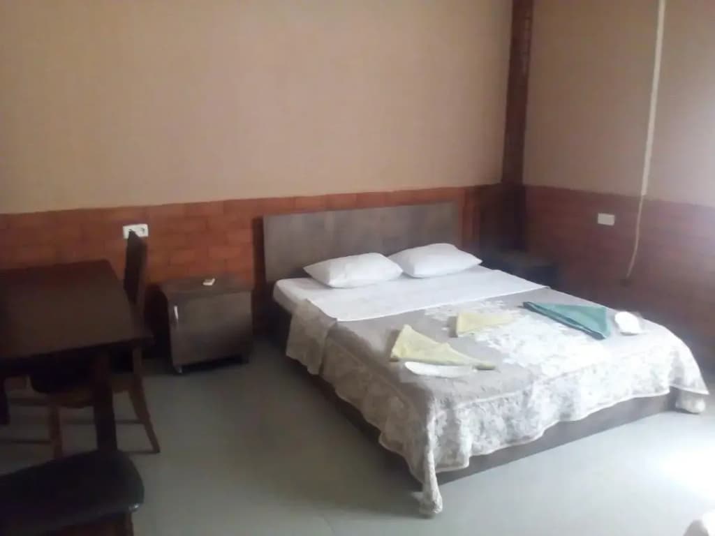 Old Isani Hotel - photo 14