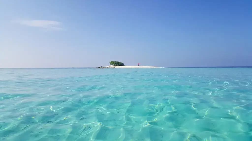 Viluveli Beach Maldives Hotel - photo 4