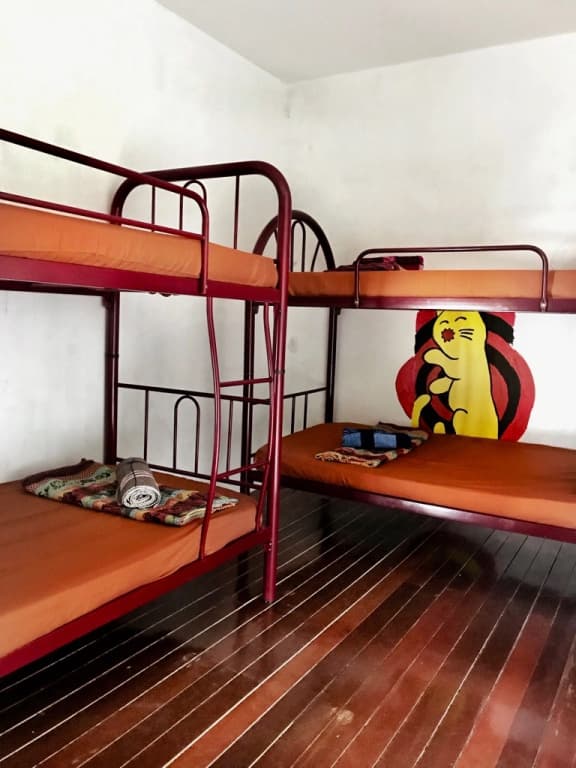 Quiik Cat Mini-Hotel - photo 30