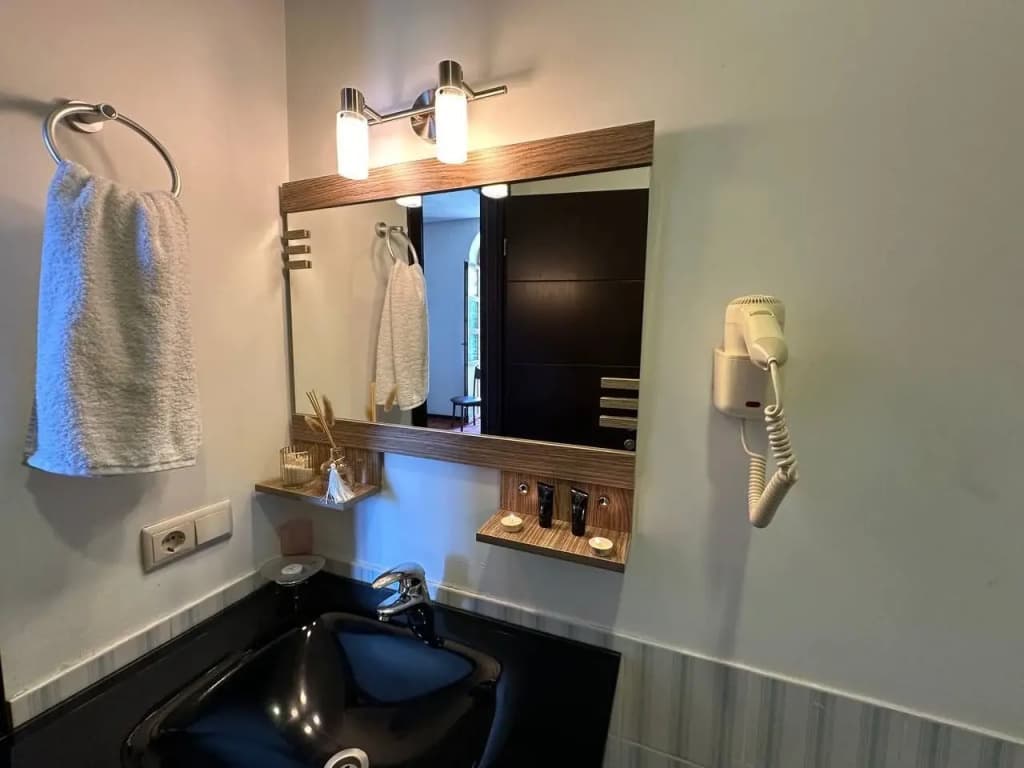 Hotel Rike Park Hotel - photo 24