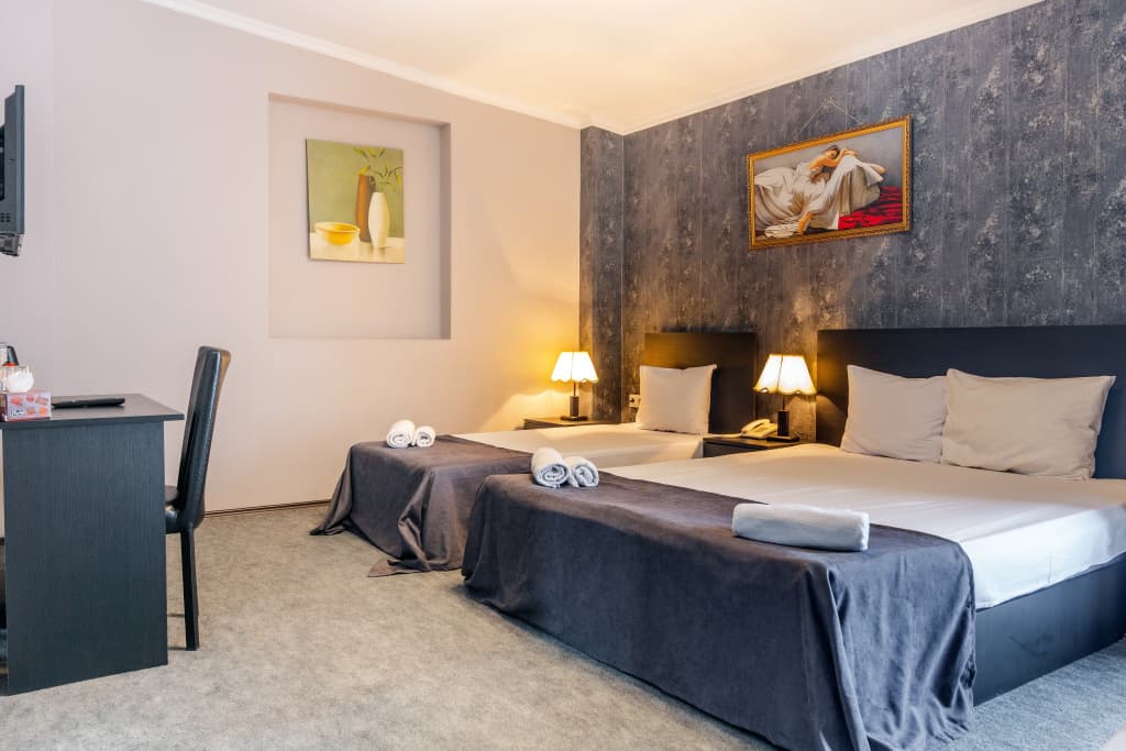 Merlin Hotel - photo 2
