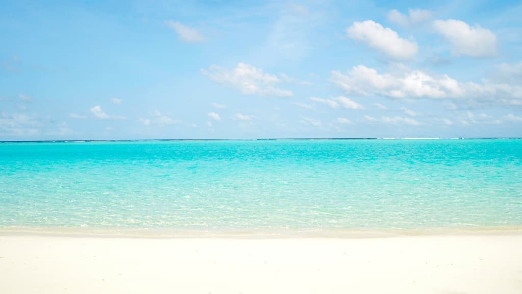 Holiday Grand Maldives Guest House - photo 13