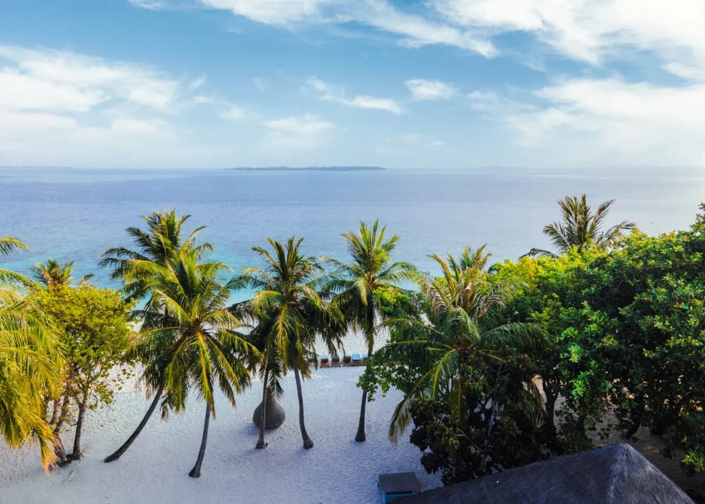 Furaveri Maldives Hotel - photo 20