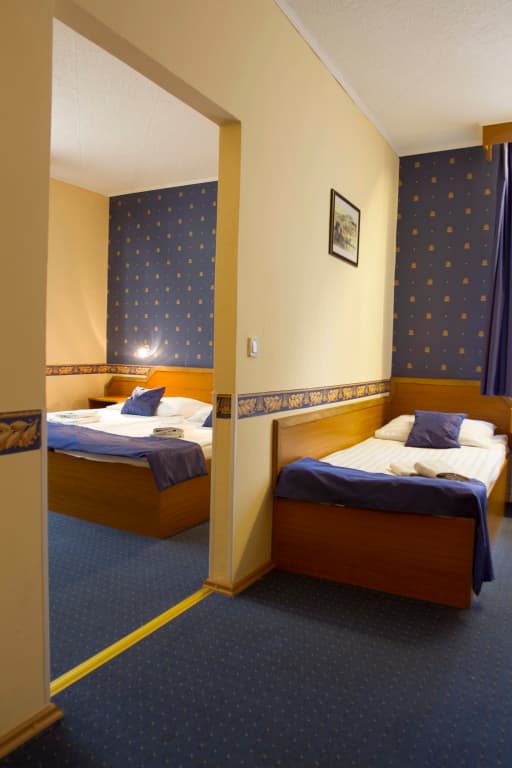 Classic Hotel - photo 20