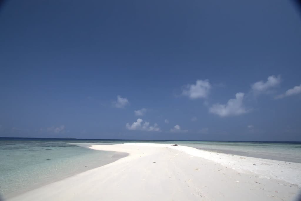 Scuba Inn Guest House - photo 6