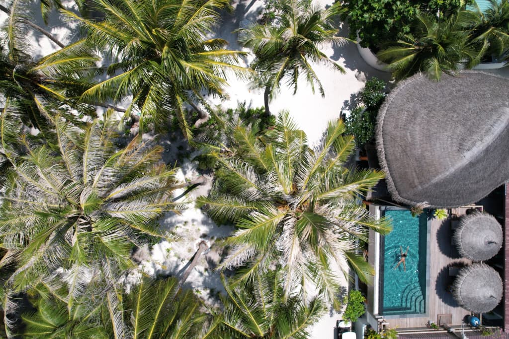 Island Luxury Boutique Hotel, Fulhadhoo - photo 11