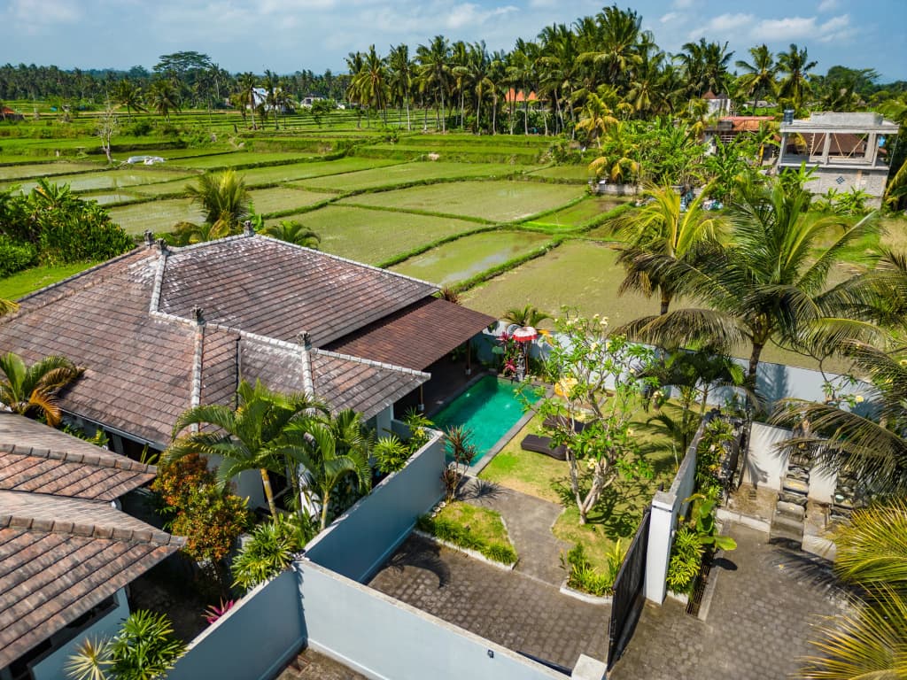 Residence 888 Ubud Villa - photo 4