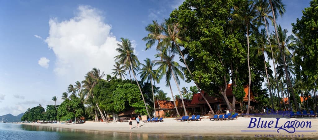 Chaweng Bluelagoon Hotel - photo 7