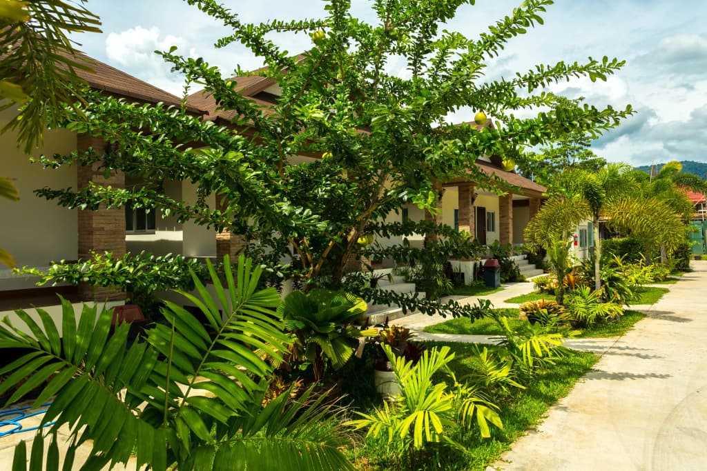 Lipa Bay Residence Resort Hotel - photo 4
