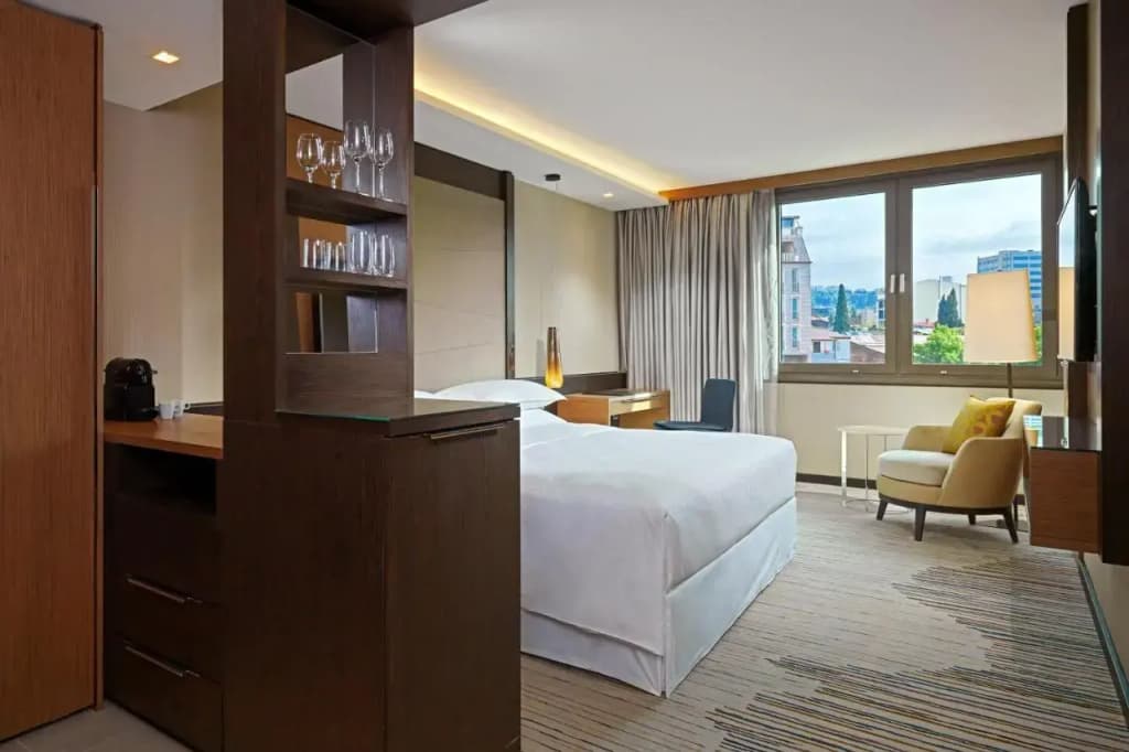 Sheraton Grand Tbilisi Metechi Palace Hotel - photo 8