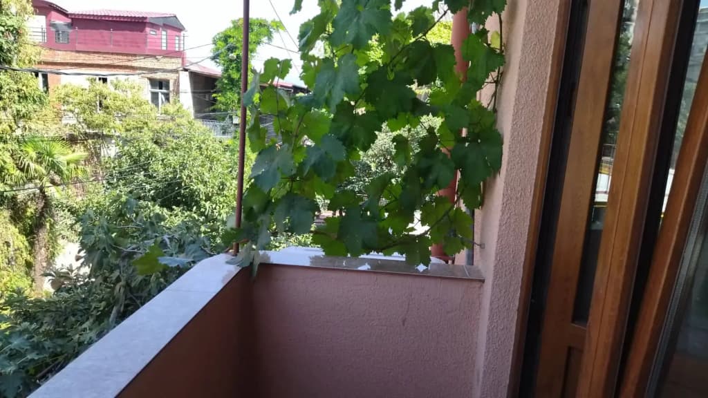 ApartHotel Otin - photo 29