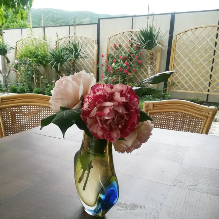 My Garden Guest House - photo 50